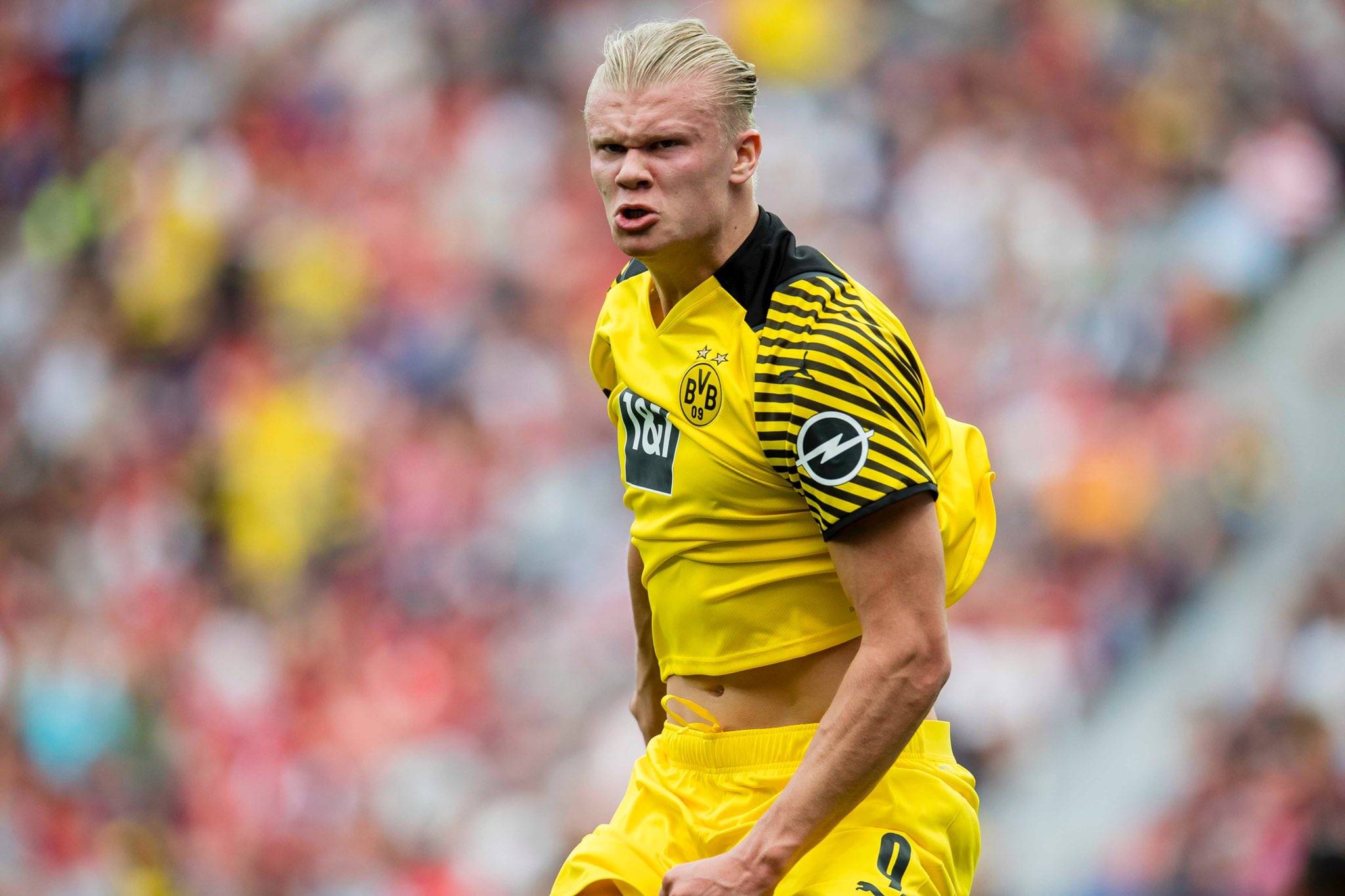 想重新踢的比赛？维埃里：02年世界杯vs韩国；97年欧冠踢多特（维埃里最想重来的两战：2002世界杯对韩国、1997欧冠战多特）